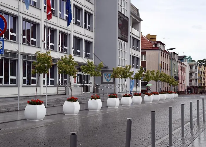 Apartamento Marii Ludwiki